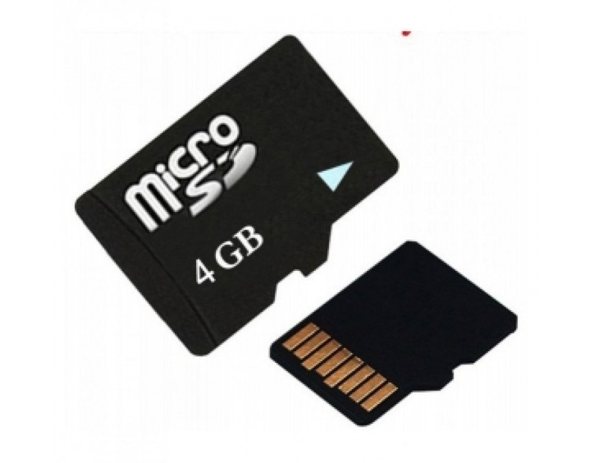 Micro SD4 GB avec sons uniques