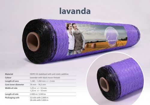 Lavanda filet balles rondes