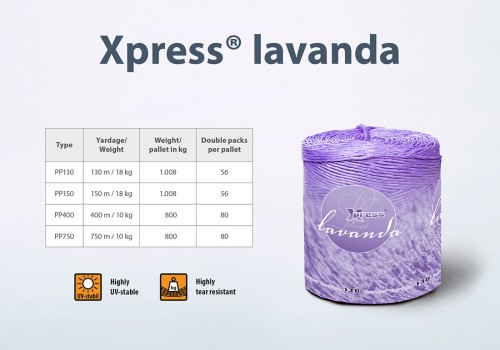 Xpress Lavanda