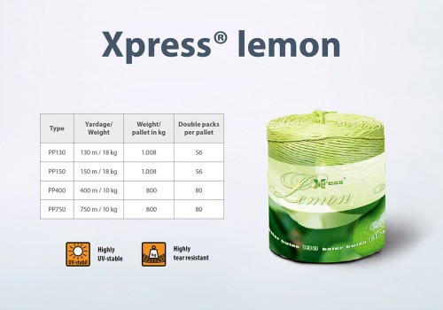 Xpress Lemon