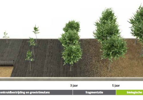 Ökolys - biologisch gronddoek