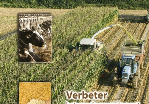 Siloking Maïs - Kuilbewaarmiddel