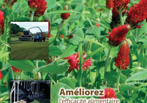 Siloking Gras - Ruwvoerbewaar middel