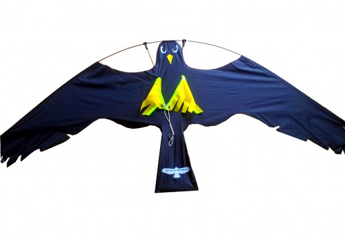 Cerf-Volant FlyTrac® 100  cm x 50 cm noir