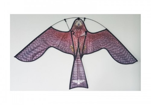 Cerf-Volant FlyTrac® 130  cm x 75 cm RAPACE