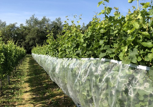 Ornata Air Plus 88102 avec bande de fixation