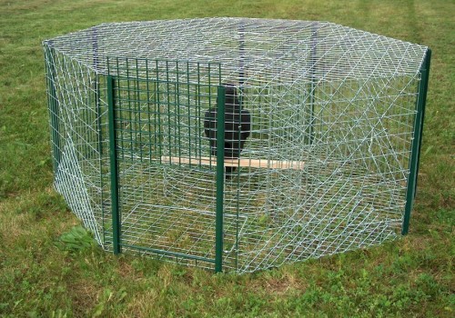 Larsenkooi 5 compartimenten