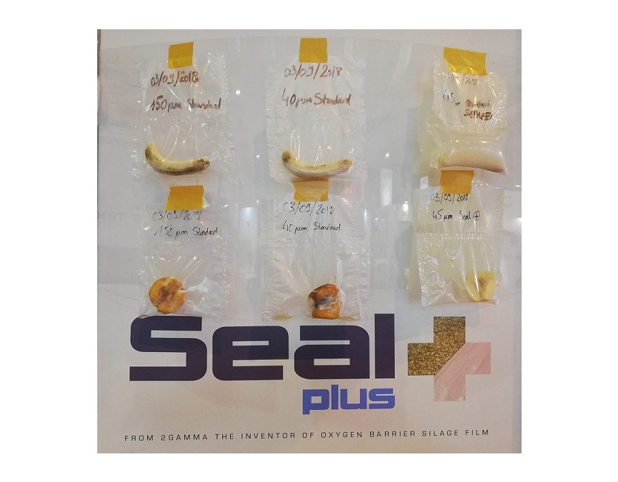 SealPlus test Bananes