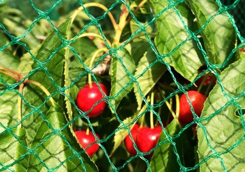 Filet horticole Florinotex