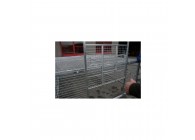 cage-à-sanglier-grand-modèle (2)