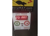 Detruirat-23-rats-en-une-nit