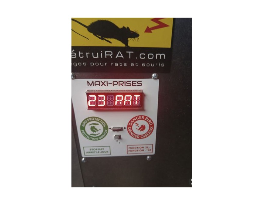 Detruirat-23-rats-en-une-nit