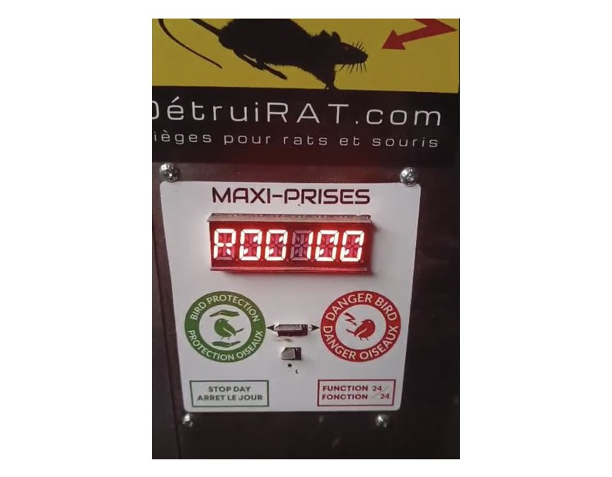 Detruirat-100-rats-en-une-semaine